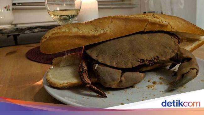 10 Tampilan Makanan yang Absurd Ini Bikin Malas Makan