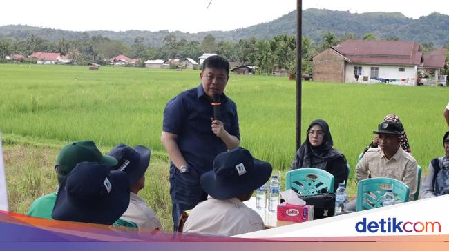 Legislator PDIP Kenalkan ‘Sawah Bapokok Murah’ untuk Tunjang Asta Cita Prabowo