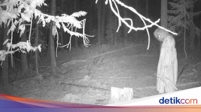 Foto Penampakan Sosok Mengerikan Terekam Kamera Jejak