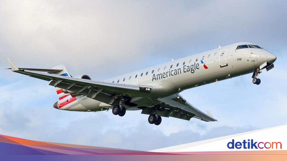 Katy Inzer Investigated by FBI After American Airlines Flight Disturbance