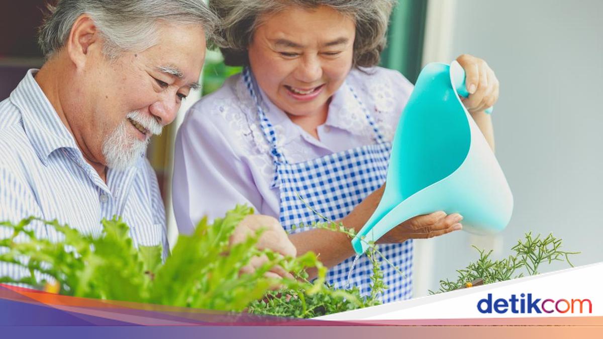 Hari Lanjut Usia Internasional 2025: Latar Belakang dan Tema