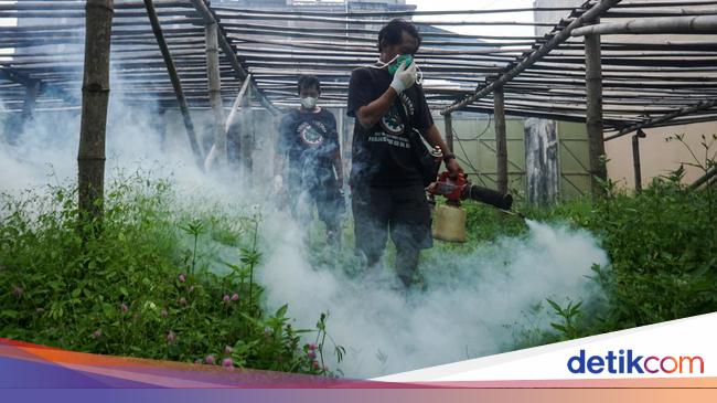 Cirebon Regency DHF KLB Alert Status