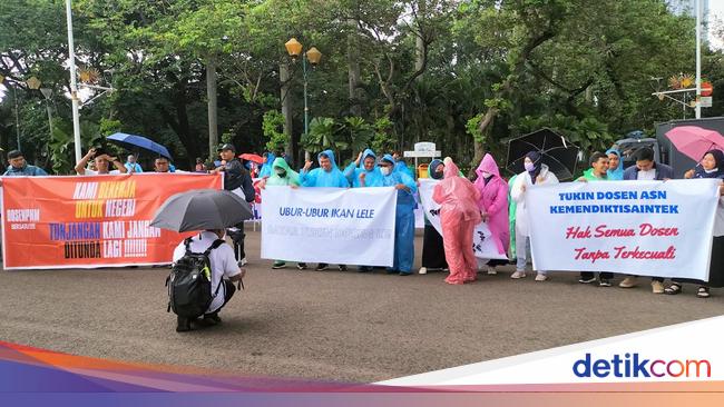 Dosen ASN Demo di Monas: Ubur-ubur Ikan Lele, Bayar Tukin Dosen Le!