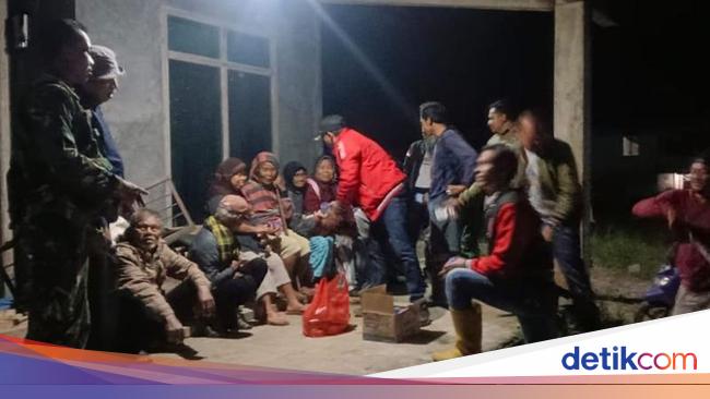 Harimau Kembali Muncul di Kebun Warga Lampung Barat, 8 KK Dievakuasi