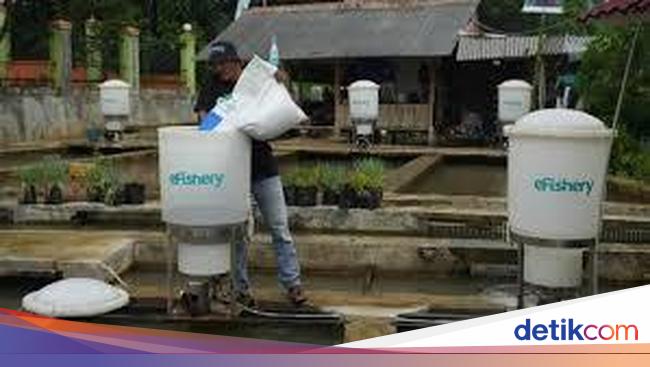 Eks CEO eFishery Gibran Huzaifah Ditangkap, Ini Kasus yang Menjeratnya