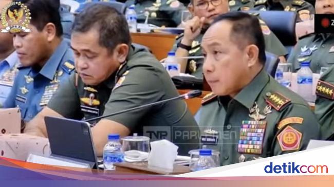 Panglima TNI Bentuk Pasukan Penanggulangan Bencana untuk Bantu BNPB