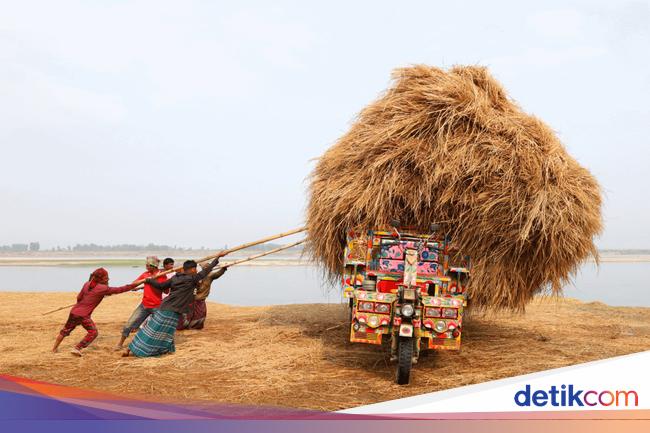 Jawara Kontes Foto Sony Kategori National &amp; Regional, Ada Indonesia