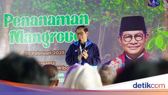 Kenneth DPRD DKJ Dukung Pramono Bikin Giant Mangrove Wall di Pesisir Jakarta