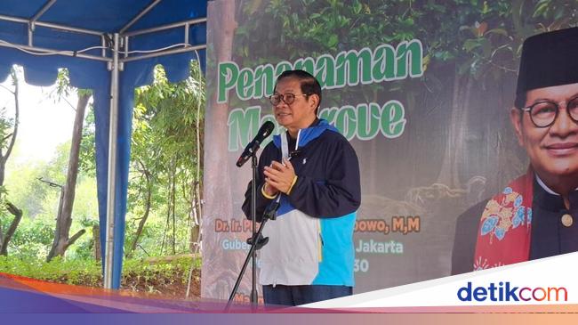 Pramono Mau Bikin Giant Mangrove Wall di Pesisir Jakarta