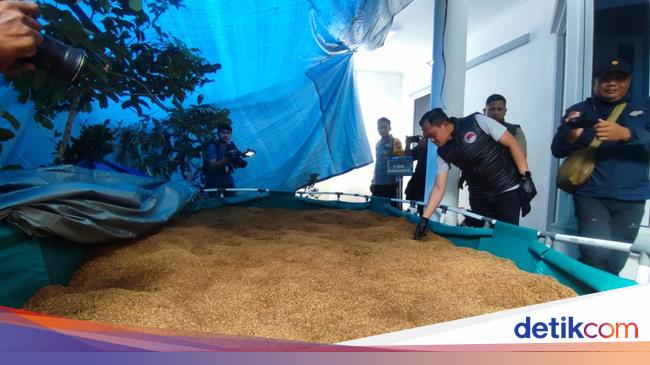 Penampakan Kolam Buatan Berisi Tembakau Sintetis di Pabrik Narkoba Jabar