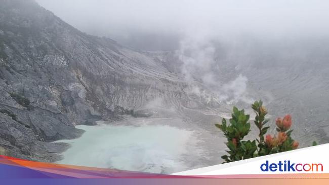 Hadiah Besar Menunggu Wisatawan di Tangkuban Perahu