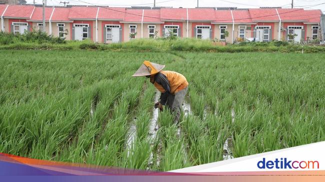 Qatar &amp; Uni Emirat Arab Masuk Proyek 3 Juta Rumah, China Juga Kepincut