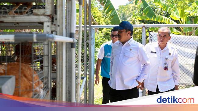 'Pulau Penjara' Akan Ditransformasi Jadi Percontohan Pusat Pelatihan Warga Binaan