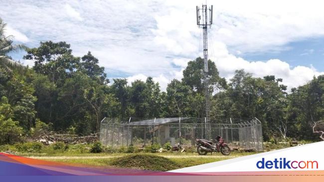 Pejuang Digitalisasi Papua Alami Kecelakaan Laut, Kemkomdigi Berduka