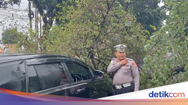 Hati-hati! Ada Pohon Tumbang di Depan Pos Polisi Kalibata Jaksel