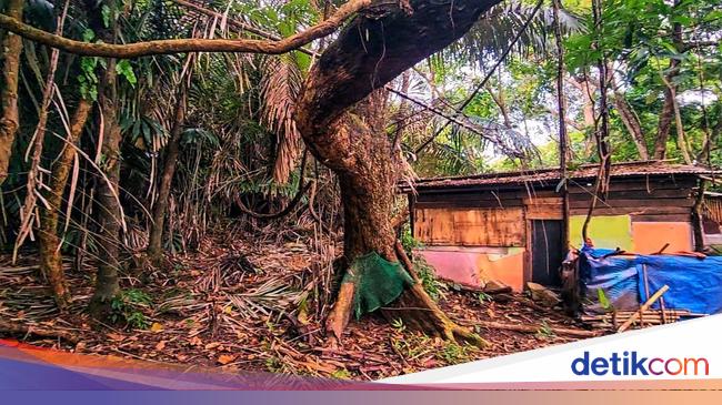 Kisah Batu Kenit di Cagar Alam Sukawayana yang Tak Lagi Angker