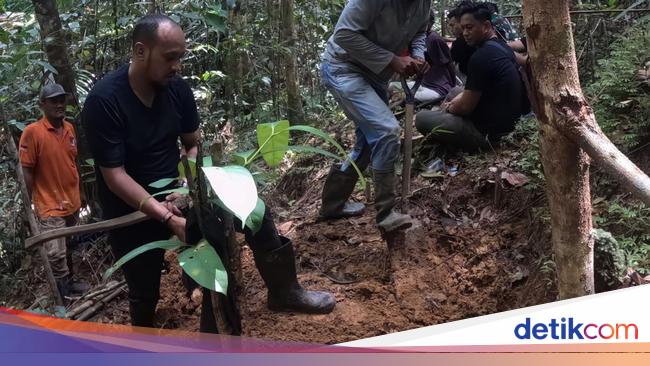 Geger Mayat Wanita di Hutan Sorong, Diduga Korban Pembunuhan 2023