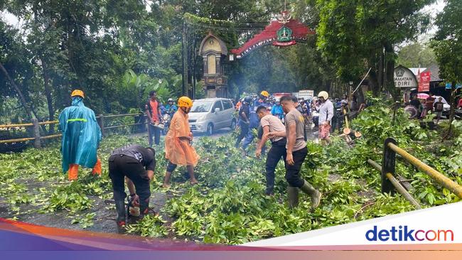 Waspada Cuaca Ekstrem di Tabanan Bali, Satgas Siaga Bencana Disiagakan