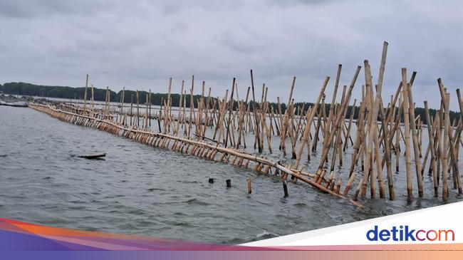 Benar Saja, Pagar Laut di Bekasi Ternyata buat Reklamasi