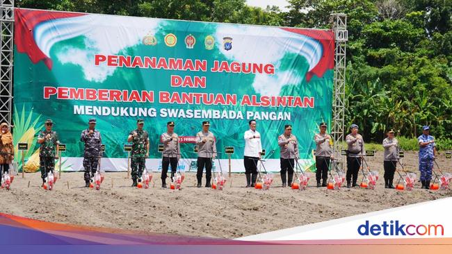 Kapolri Tinjau Lokasi Penanaman Jagung di Bantul, Harap RI Tak Impor Lagi