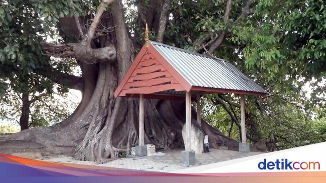Kisah Raja Suku Mandar yang Dimakamkan Satu Liang dengan 14 Dayang-dayang