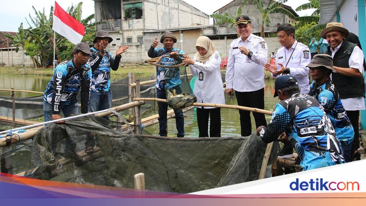Kolaborasi Pemkot Surabaya dan Poktan: Bozem Disulap Jadi Lahan Produktif