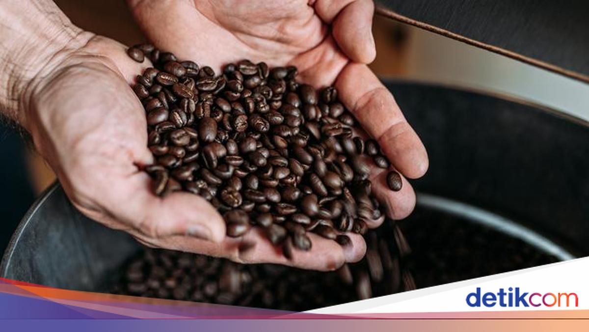 Top 5 Biji Kopi Terbaik Dunia Tahun 2026, Ada 2 dari Indonesia!