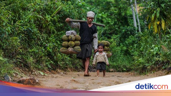 Ada Ritual Adat, Wisatawan Dilarang Masuk Badui Dalam 3 Bulan