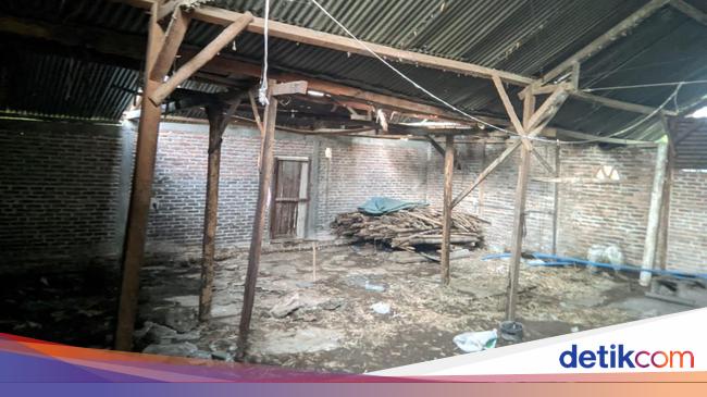 Rumahnya Jadi Sarang Kobra, Karti Cerita Momen Ular Muncul di Bantal Tidurnya