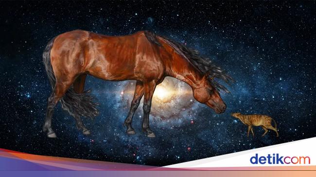 Horse Ancestors Weighed 3.9kg, Flew to Antariksa