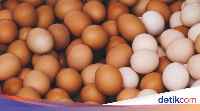 Terungkap! Ini Biang Kerok Harga Telur &amp; Daging Ayam Anjlok