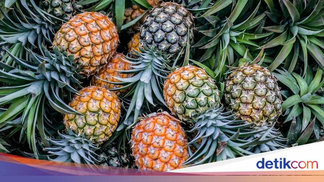 5 Orang dengan Kondisi Tertentu yang Sebaiknya Tak Makan Nanas