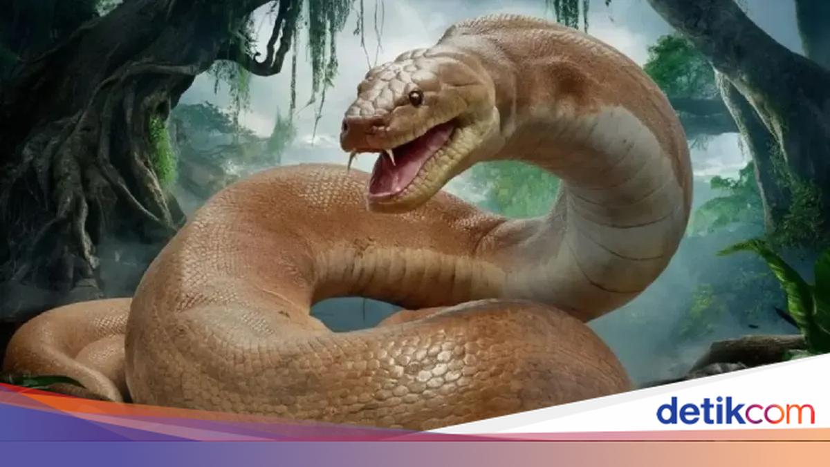 Tabiiy kokrak yosh porno