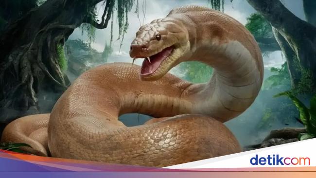 Ngeri! Fosil Ular Raksasa 15 Meter Ditemukan di India, Saingi Titanoboa?