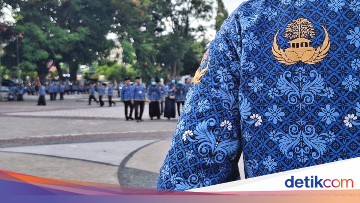 Kekecewaan Calon PPPK Paruh Waktu, Ternyata Tak Bisa Pakai Baju Korpri