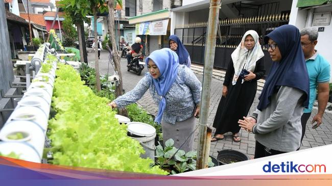 DPRD Surabaya Dorong Warga Lestarikan Urban Farming di Perkampungan