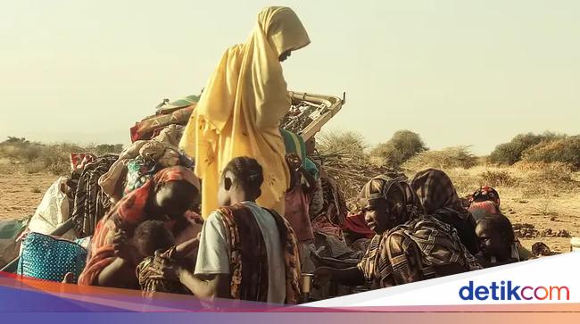 Badan PBB Setop Bantuan di Kamp Pengungsi Sudan yang Dilanda Kelaparan