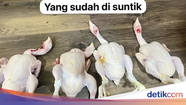 Penampakan Ayam Gelonggongan Dijual Pedagang Nakal di Pasar Kebayoran Lama