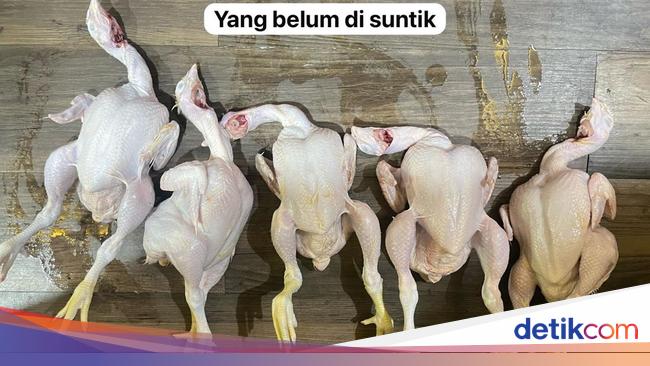 Waspada! Ini Cara Bedakan Ayam Gelonggongan yang Dijual Pedagang Nakal di Pasar