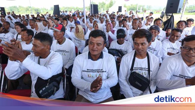 Geber Ketahanan Pangan, Petani di Daerah Dapat Pelatihan-Distribusi Alat Panen Modern