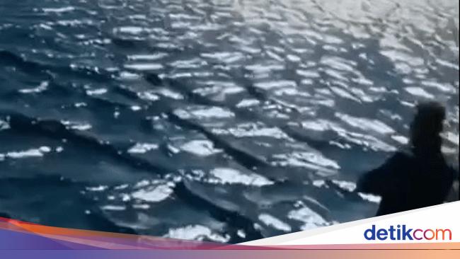 Fenomena Gelombang Persegi: Indah Namun Bahaya Mengancam Nyawa