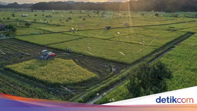 Menteri-Bupati Bahas Langkah Wujudkan Swasembada Pangan di #DemiIndonesia