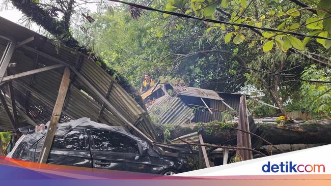 Bencana Alam di Bogor: Pohon Tumbang Akibat Hujan Deras dan Angin Kencang, Mobil dan Rumah Warga Terkena