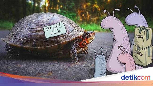 Kreatif! Ketika Fotografi Dipadukan dengan Animasi