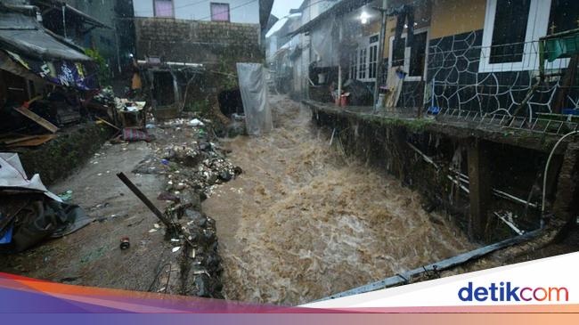 Walhi: Alih Fungsi Lahan di Puncak Bogor Sudah Terjadi Bertahun-Tahun