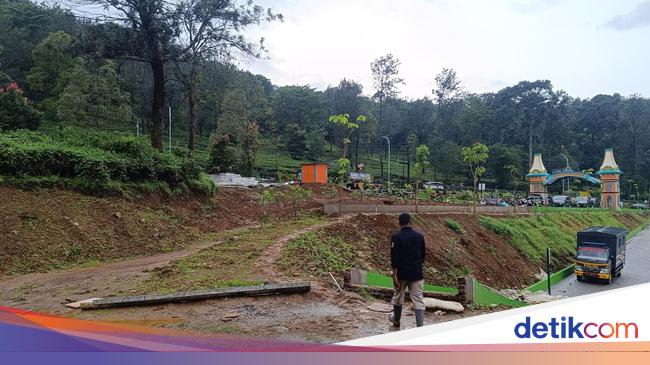 Usai Dibongkar, Area Hibisc Puncak Bogor Bakal Ditanam 23 Ribu Pohon