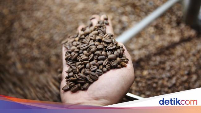 Ekspor Kopi RI Naik 76,33% Jadi US$ 1,6 M, Paling Banyak ke AS-Rusia