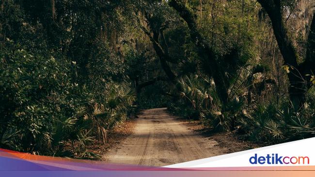 Traveler Muda Ini Tersesat di Pulau Tak Berpenghuni, Ini 5 Kesalahan Fatalnya