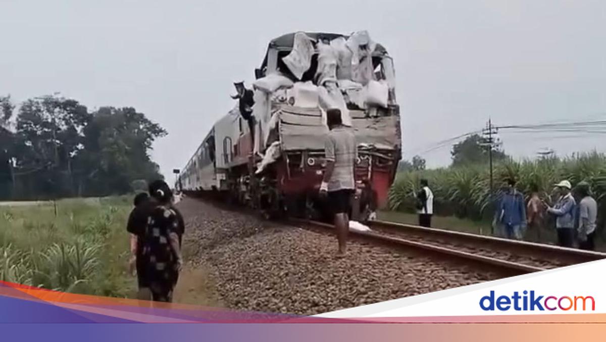 Yosh qiz oladi becerdin qattiq ichida eshak Ayollar jinni