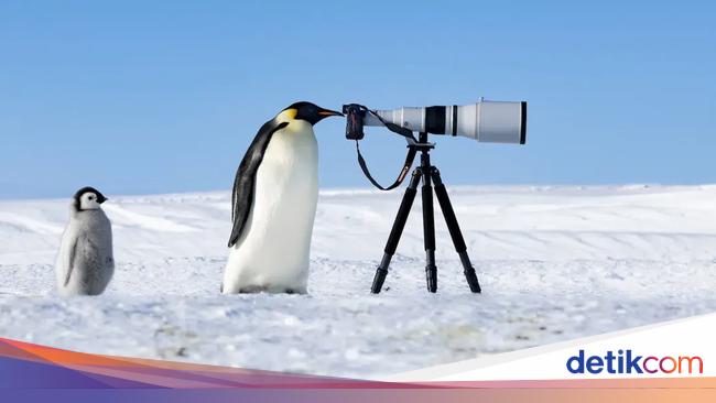 Karya Luar Biasa Jawara Foto Alam 2024